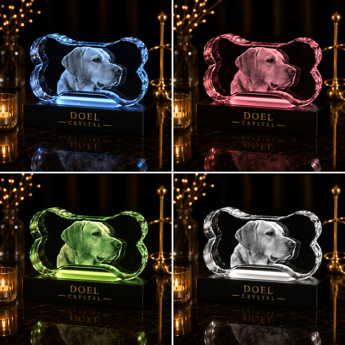3D Crystal Pet Bone